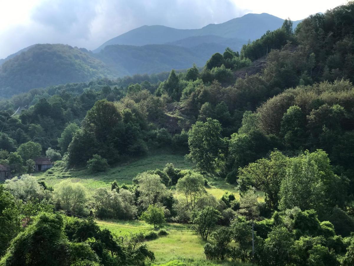 Aphrodite Hills Apartments-Stara Planina Crni Vrh Luaran gambar