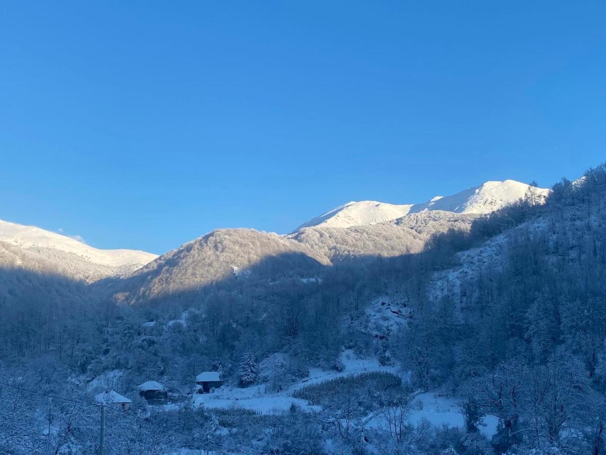 Aphrodite Hills Apartments-Stara Planina Crni Vrh Luaran gambar