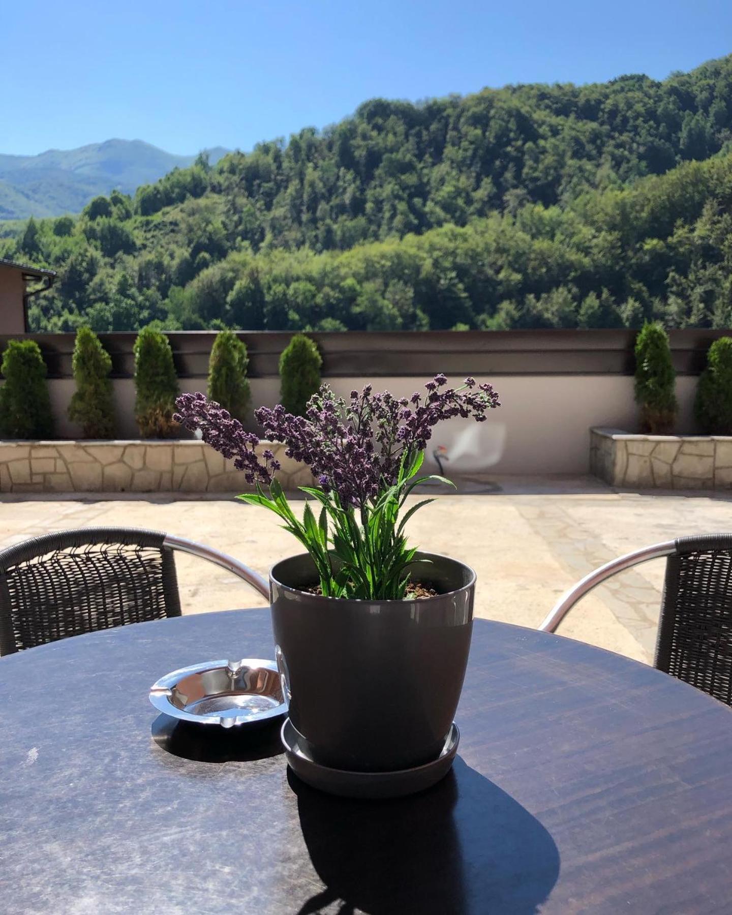 Aphrodite Hills Apartments-Stara Planina Crni Vrh Luaran gambar
