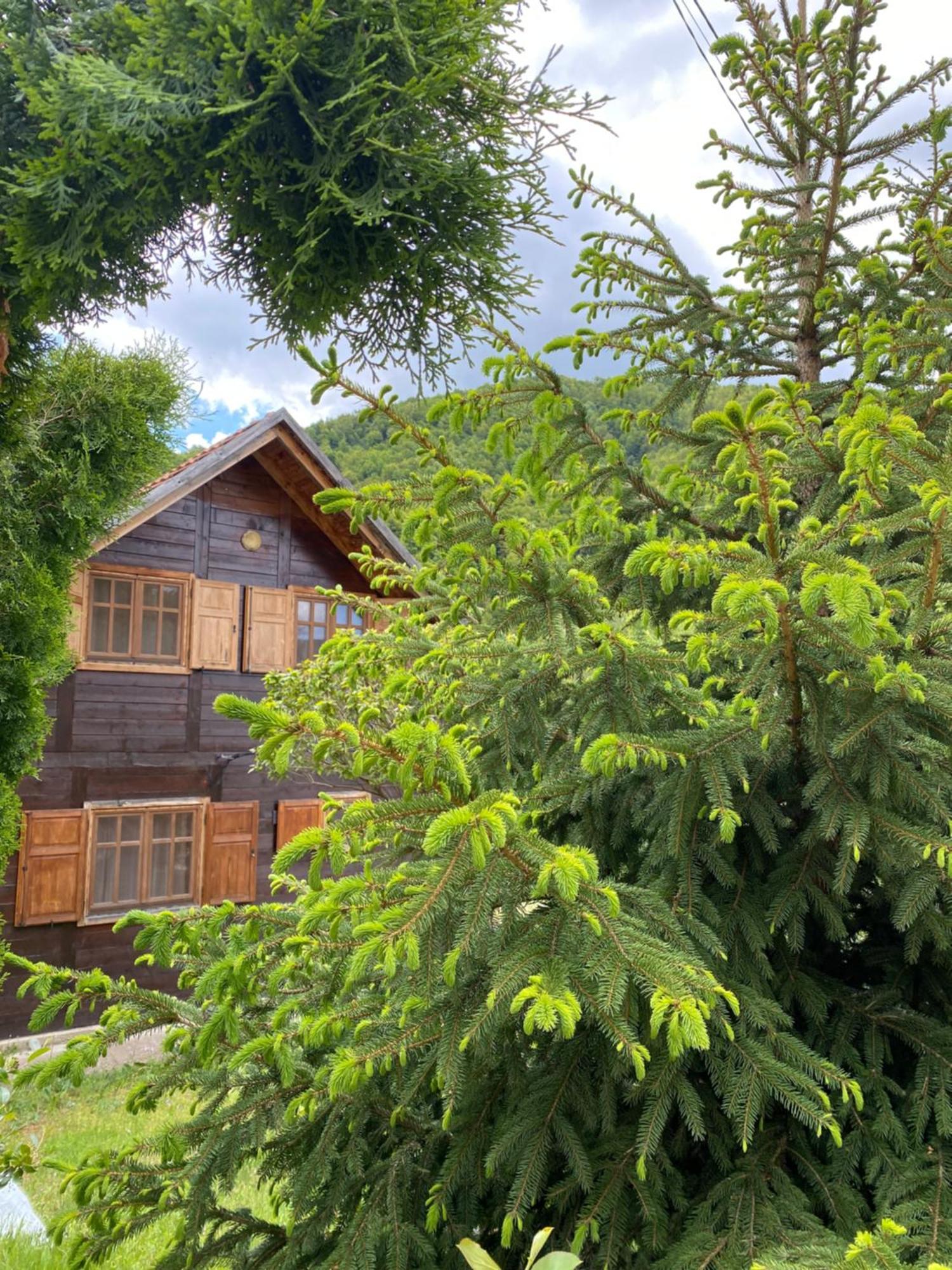 Aphrodite Hills Apartments-Stara Planina Crni Vrh Luaran gambar