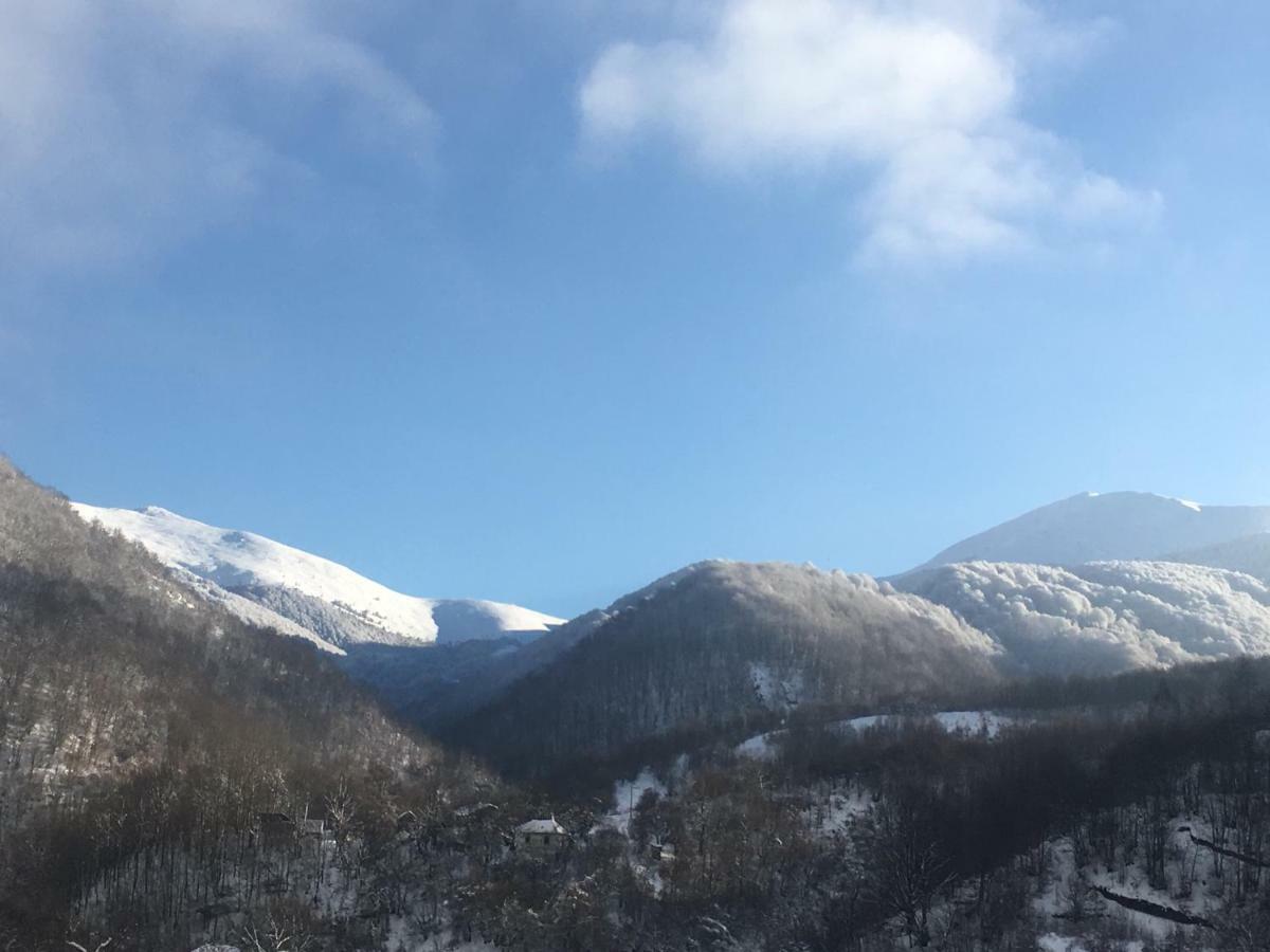 Aphrodite Hills Apartments-Stara Planina Crni Vrh Luaran gambar